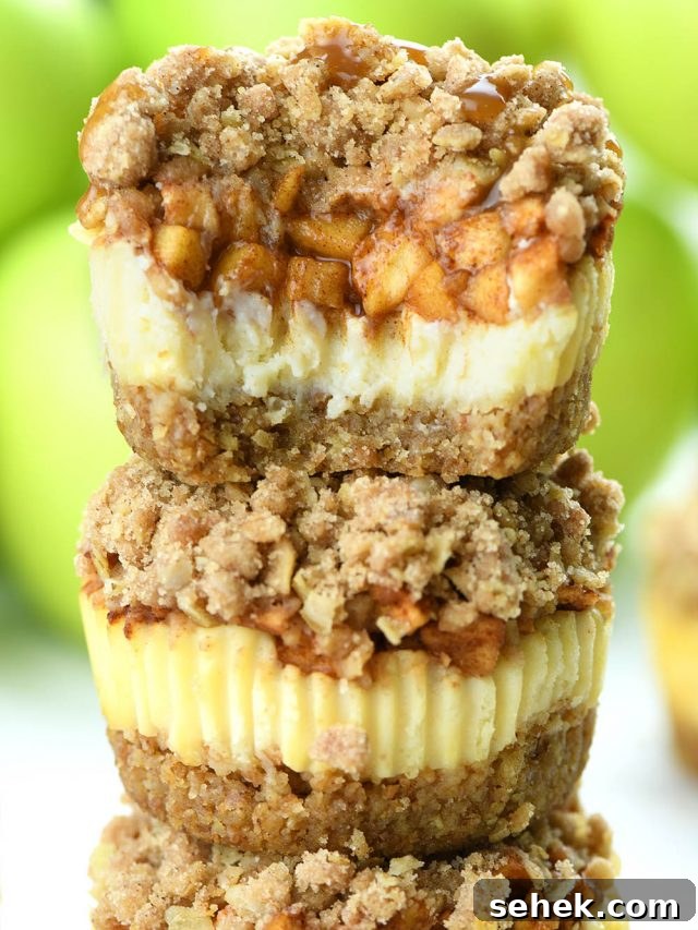 Mini Apple Crisp Cheesecakes