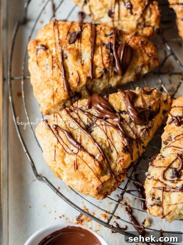 Chocolate chip scones drizzled with melted chocolate on a round wire cooling rack with a small bowl of melted chocolate placed close by.