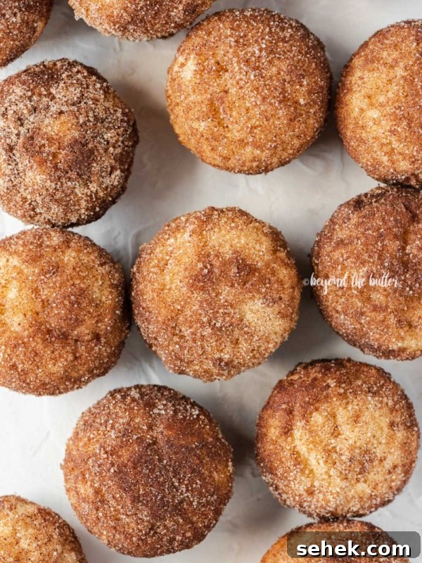 Overhead image of cinnamon sugar breakfast muffins on a white background.