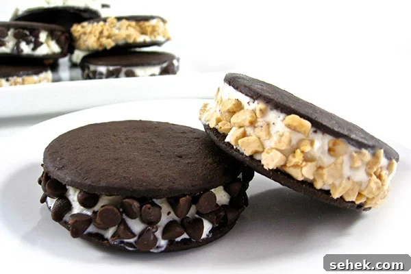 Mini Ice Cream Sandwiches: Low-Calorie Homemade Recipe 2 Skinny Mini Ice Cream Sandwiches