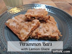 Readers' Favorite Picks of 2014 15 Persimmon Bars
