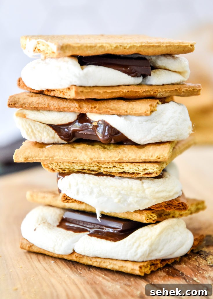 Image for 5-Minute Air Fryer S'mores