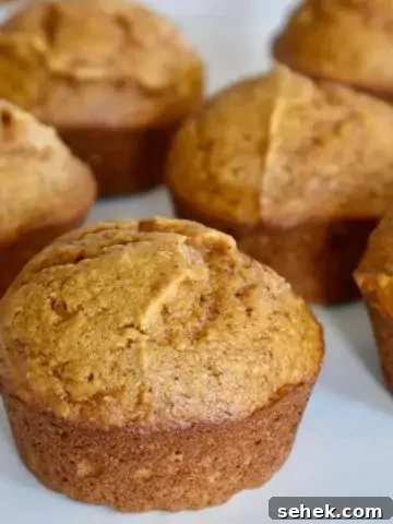 Pumpkin Applesauce Muffins