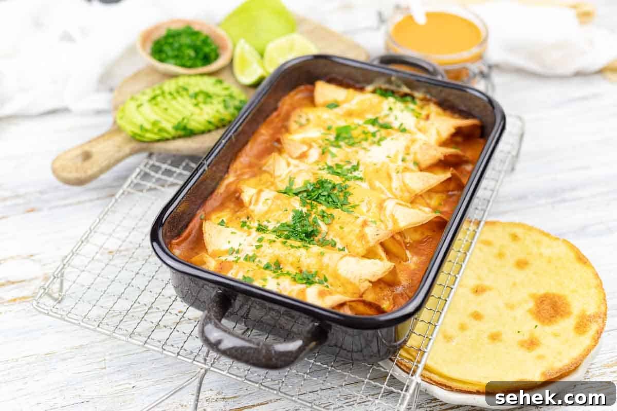 17 Cozy Casseroles for Any Night of the Week 16 A pan of baked chicken enchiladas casserole.