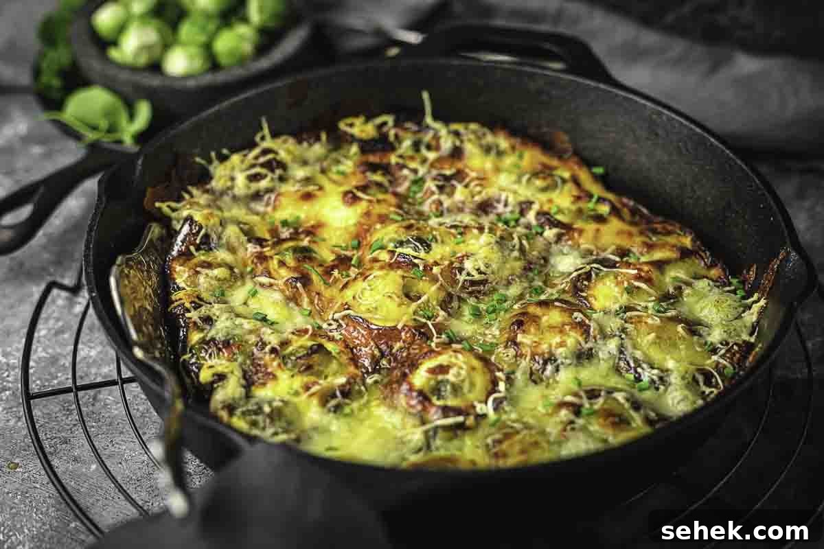 17 Cozy Casseroles for Any Night of the Week 5 A casserole with brussel sprouts topped with cheese.