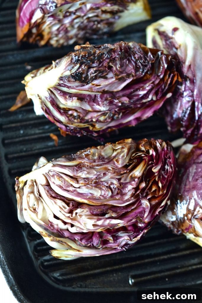Grilled Radicchio & Orange Salad with Cinnamon Dressing Grilled Radicchio & Orange Salad with Cinnamon Dressing