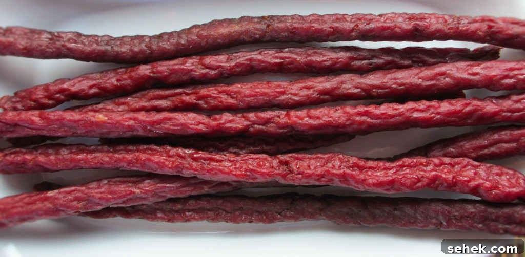 Cajun Ground Beef Jerky Recipe for the Nesco Snackmaster Pro 2 Cajun Ground Beef Jerky on the Nesco Snackmaster Pro