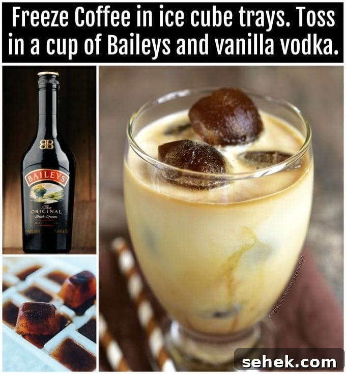 40+ Refreshing Summer Cocktail Recipes for Parties and Picnics 13 Baileys Vanilla Vodka Coffee Drink