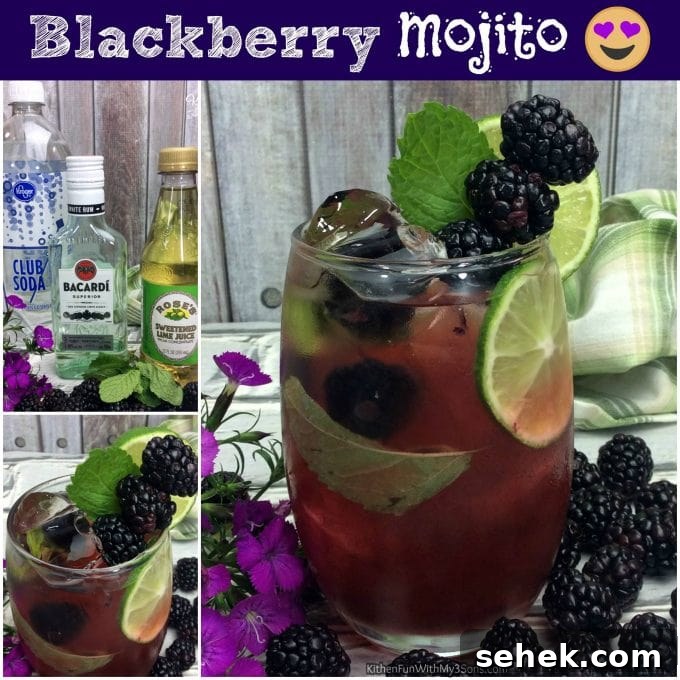 40+ Refreshing Summer Cocktail Recipes for Parties and Picnics 17 Blackberry Mojito - Over 40 of the BEST Summer Cocktails!