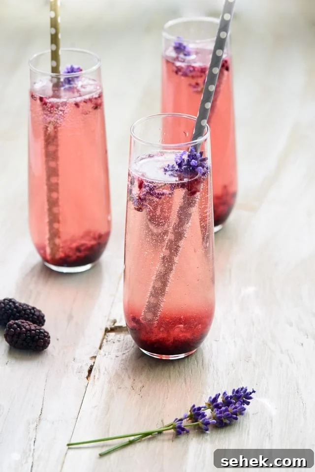 40+ Refreshing Summer Cocktail Recipes for Parties and Picnics 33 Blackberry Lavender Champagne Cocktail