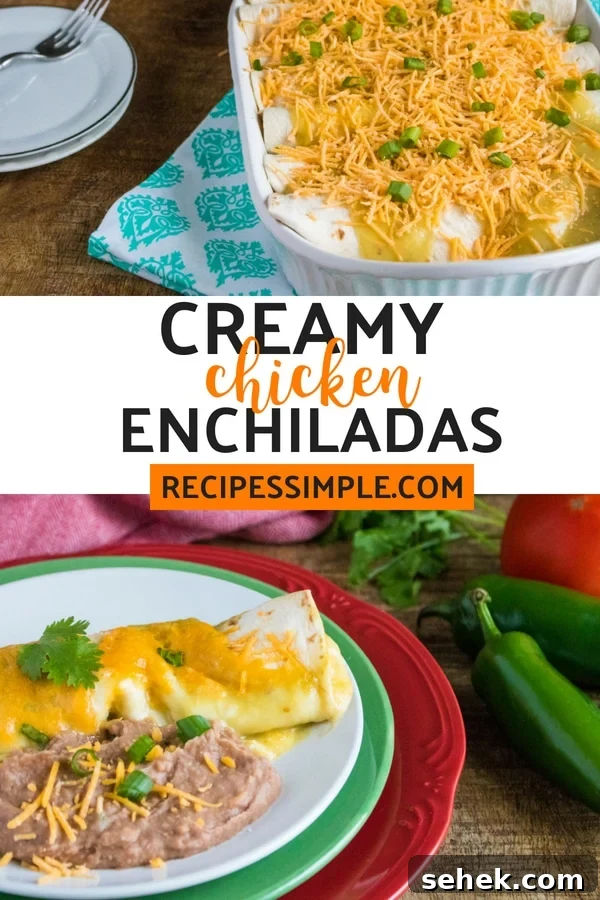 Creamy Cheesy Chicken Enchiladas with Melted Mexican Cheese 7 homemade chicken enchiladas (3)