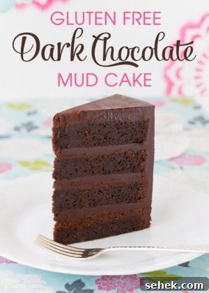 Gluten-Free White Chocolate Mud Cake Recipe 14 img 1830 13