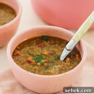20+ Simple Vegan Soup Recipes for Every Season 12 img 18316 11