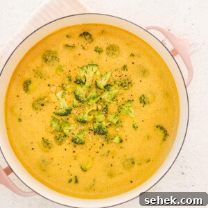 20+ Simple Vegan Soup Recipes for Every Season 16 a pot of vegan broccoli cheese soup