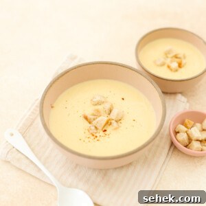 20+ Simple Vegan Soup Recipes for Every Season 18 img 18316 17