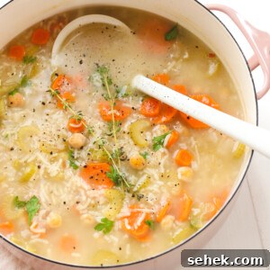20+ Simple Vegan Soup Recipes for Every Season 25 a ladle resting inside a pot of soup
