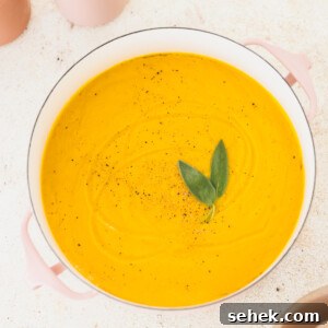 20+ Simple Vegan Soup Recipes for Every Season 8 Miso Butternut Squash Soup Veggiekins Blog