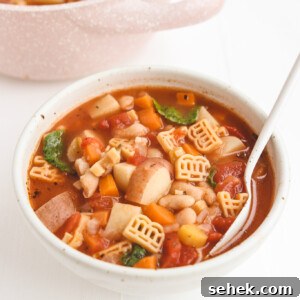 20+ Simple Vegan Soup Recipes for Every Season 10 two bowls of minestrone soup with potatoes, beans, pasta, and more