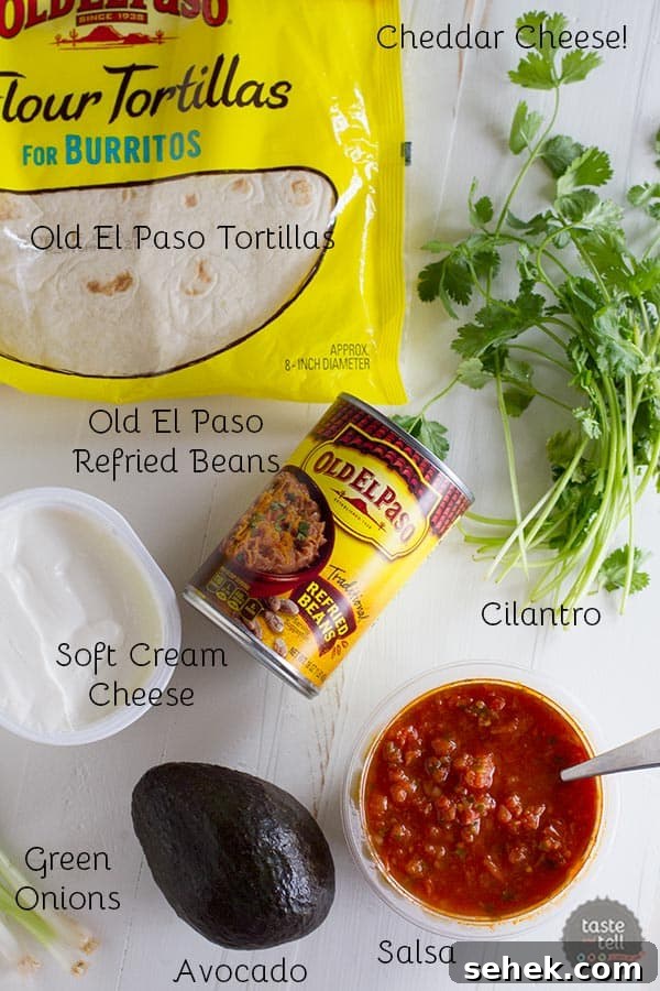 Cheesy Bean Vegetarian Wraps: Flavorful Lunch or Snack 3 Ingredients for Vegetarian Wraps with Beans and Cheese