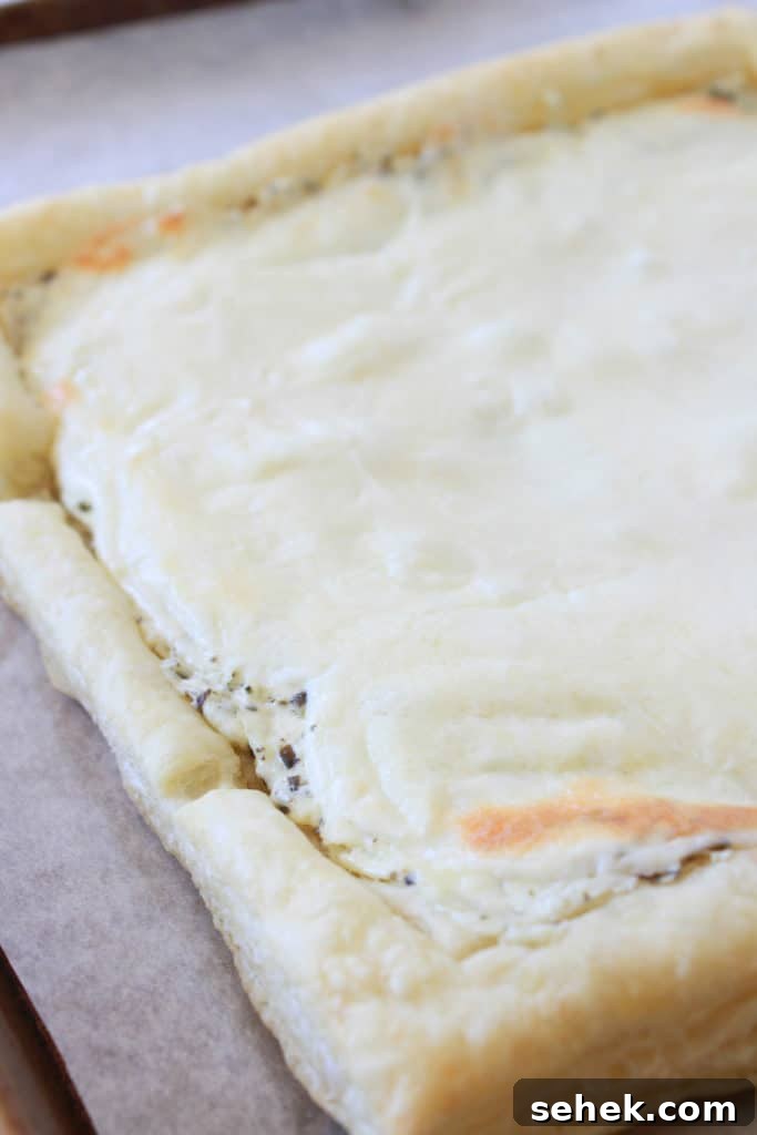 Caprese Tart Recipe: Fresh Tomato, Mozzarella & Basil Tart 8 img 2012 7