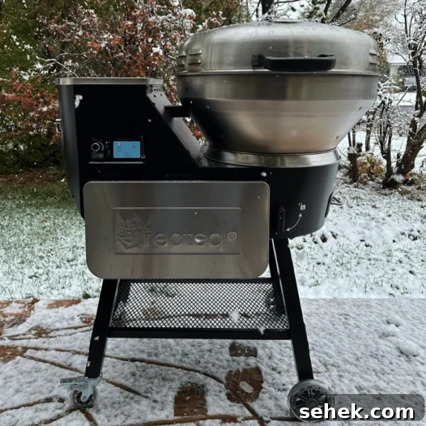 Masterbuilt Gravity Series Grill Review: Performance, Features & Verdict 11 A smoker in a snowy backyard.