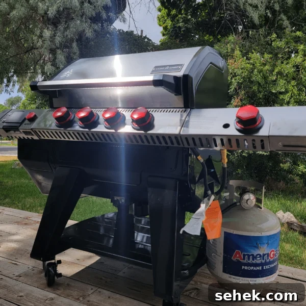 Masterbuilt Gravity Series Grill Review: Performance, Features & Verdict 12 A shiny propane grill on a backyard deck.