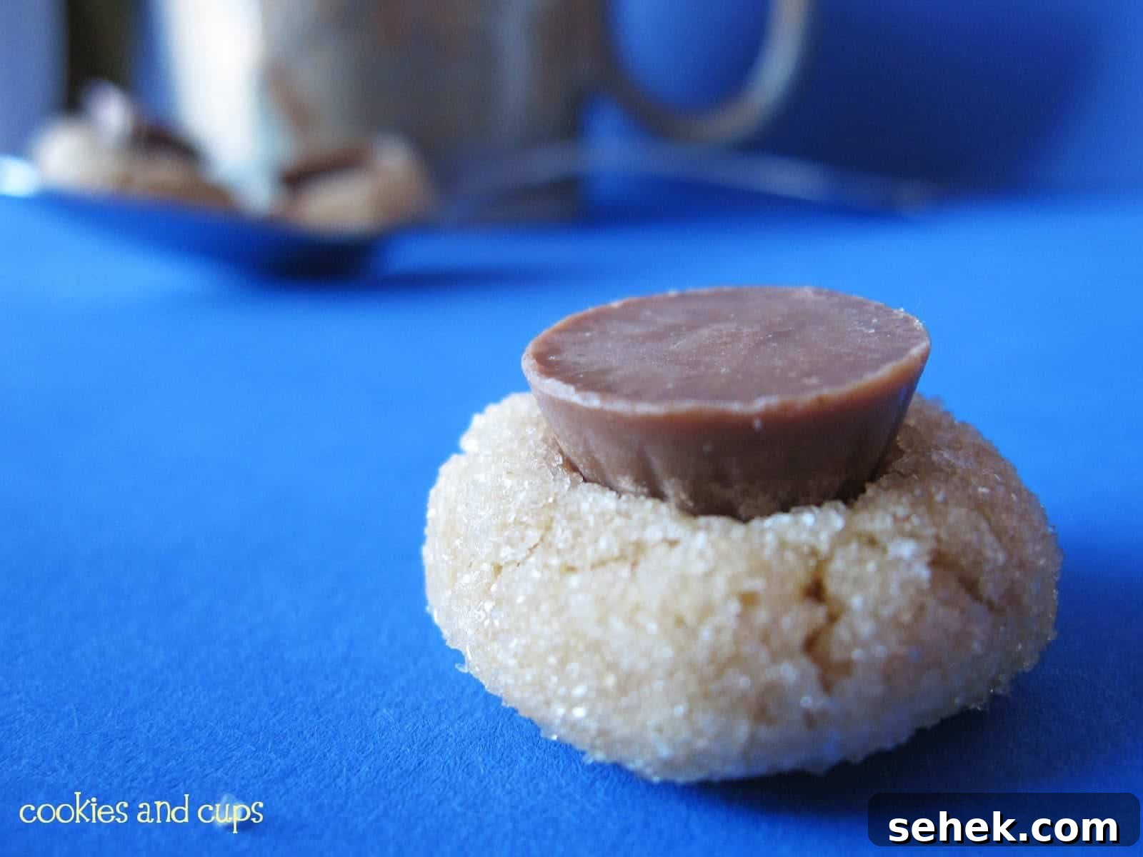 Mini Peanut Butter Blossom Cookies: Bite-Size Chocolate Cups 2 Close-up of a Peanut Butter Blossom cookie with a mini PB cup on top