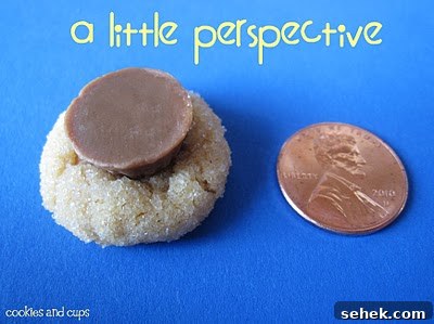 Mini Peanut Butter Blossom Cookies: Bite-Size Chocolate Cups 4 img 215 3
