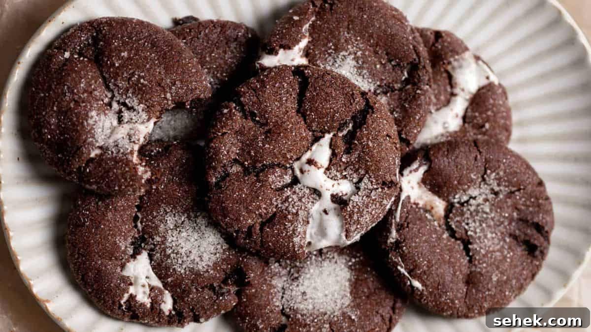 Mocha Chocolate Marshmallow Cookies