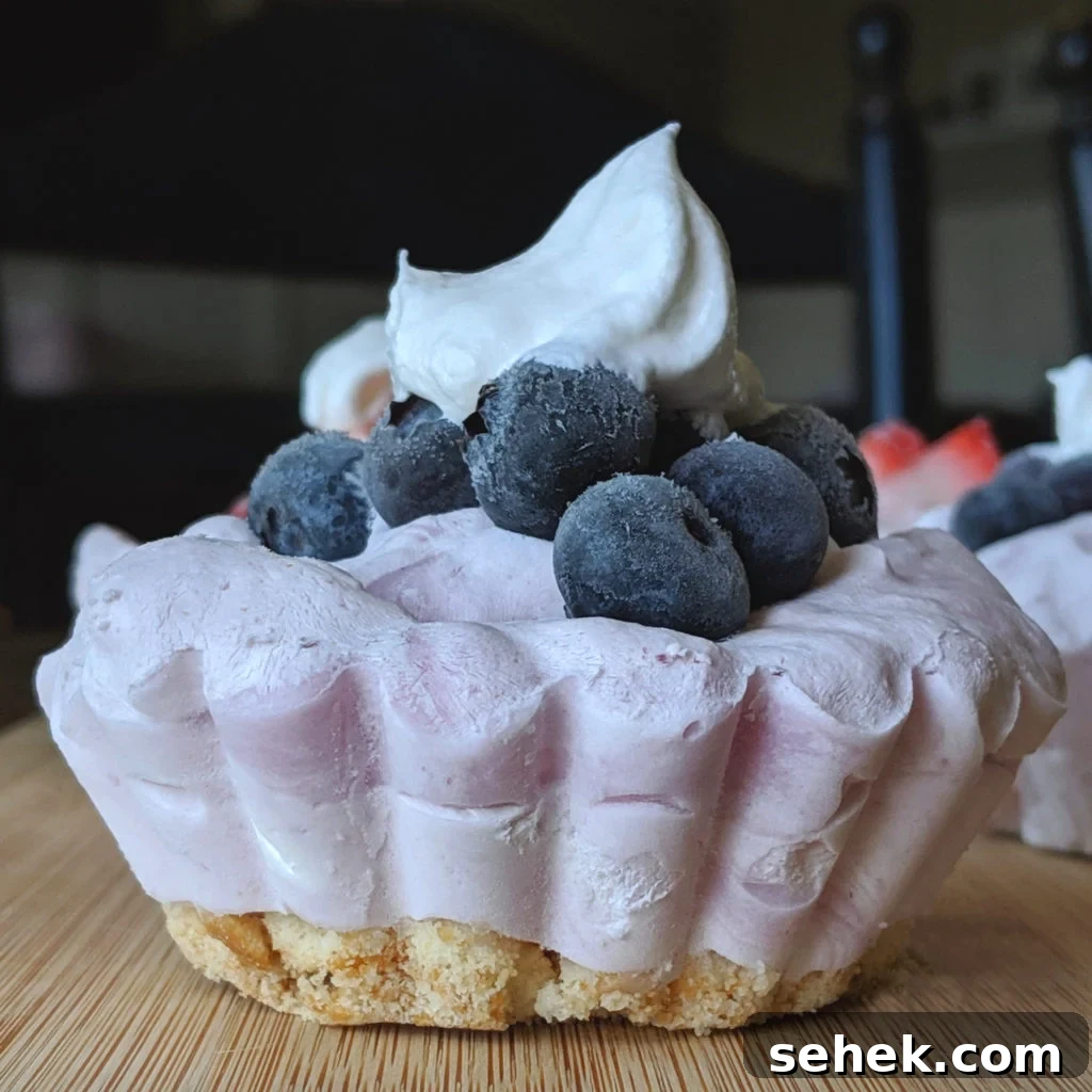 8 Guilt-Free Desserts Under 100 Calories Each 3 img 2240 2