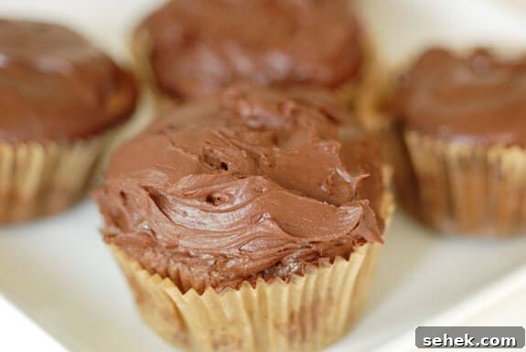 Is Dark Chocolate Good for Your Health? 17 paleo chocolate cupcakes