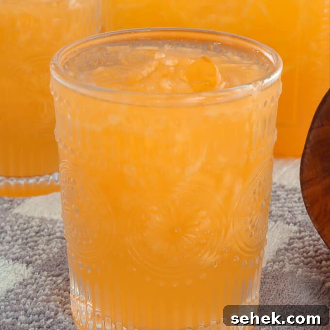 Refreshing Melon Juice Recipe: Fresh Melon Drink for Summer 8 melon juice in a drinking glasses with ice