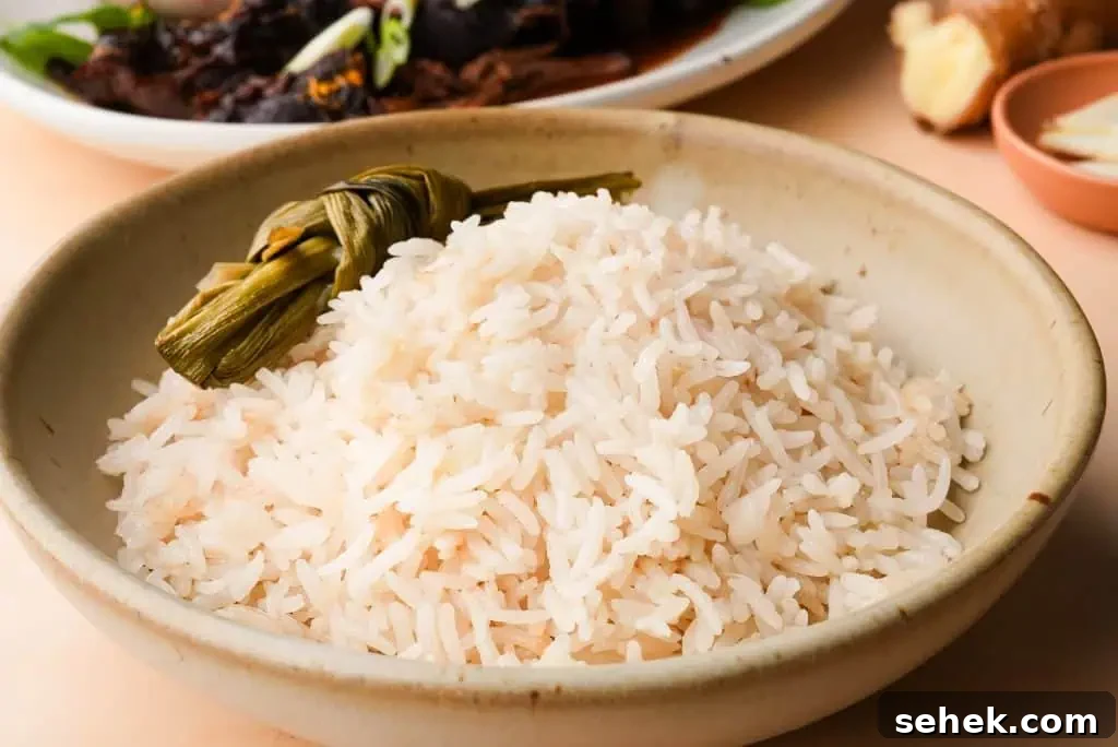 how to make coconut rice Close-up of coconut rice served in a ceramic bowl, highlighting tender jasmine rice infused with coconut milk.