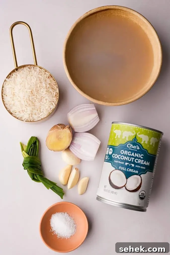 Coconut Rice Made in a Rice Cooker: Simple Fragrant Recipe 5 Ingredients for coconut rice arranged on a surface, including jasmine rice, coconut cream, shallots, garlic, ginger, pandan leaves, and salt.