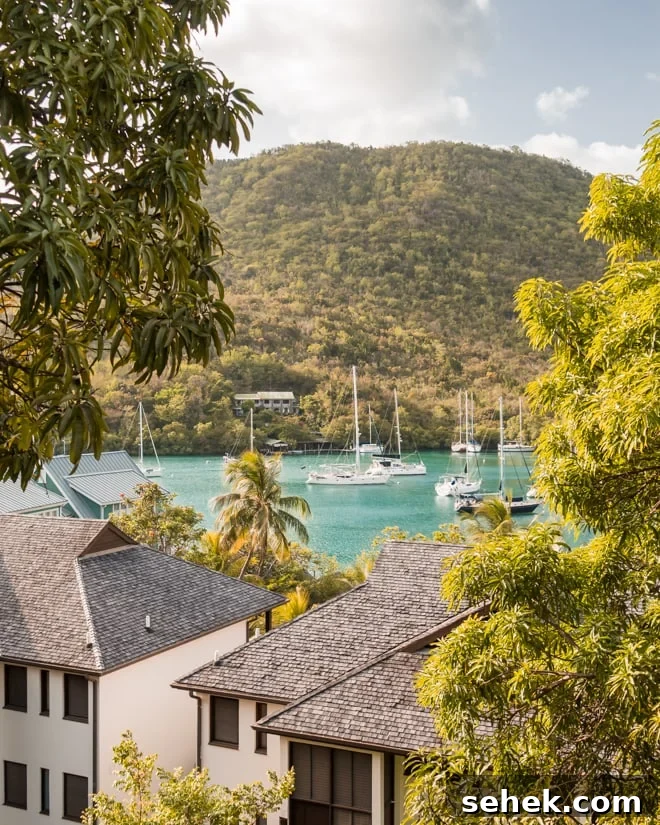 Are you visiting Saint Lucia? Check out my 3 day Guide to Saint Lucia including the best places to stay, eat and explore including unique foodie experiences and more! #travel #foodie #restaurant #stlucia #saintlucia #caribbean #travelguide #marigotbay