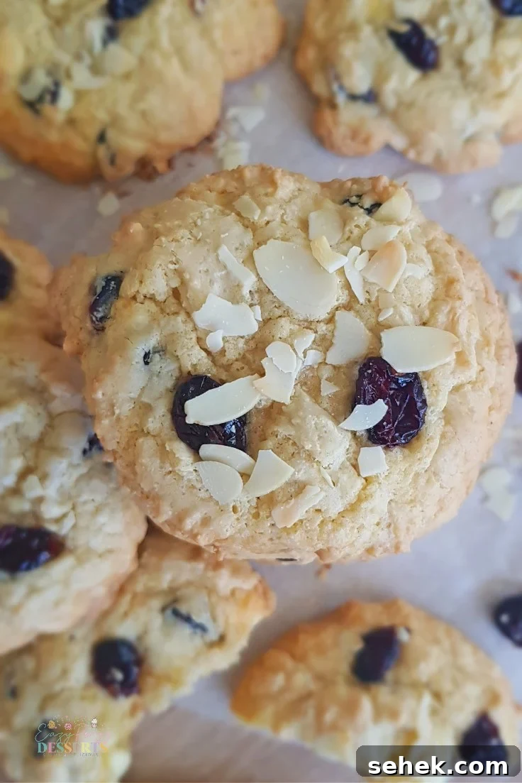 Chewy Cranberry Cookies with Orange Zest Recipe 3 Dried cranberry cookies