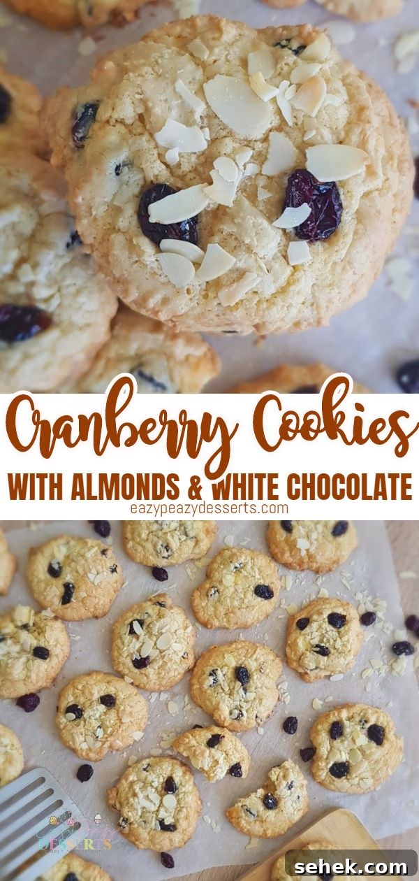 Chewy Cranberry Cookies with Orange Zest Recipe 6 Cranberry cookies recipe