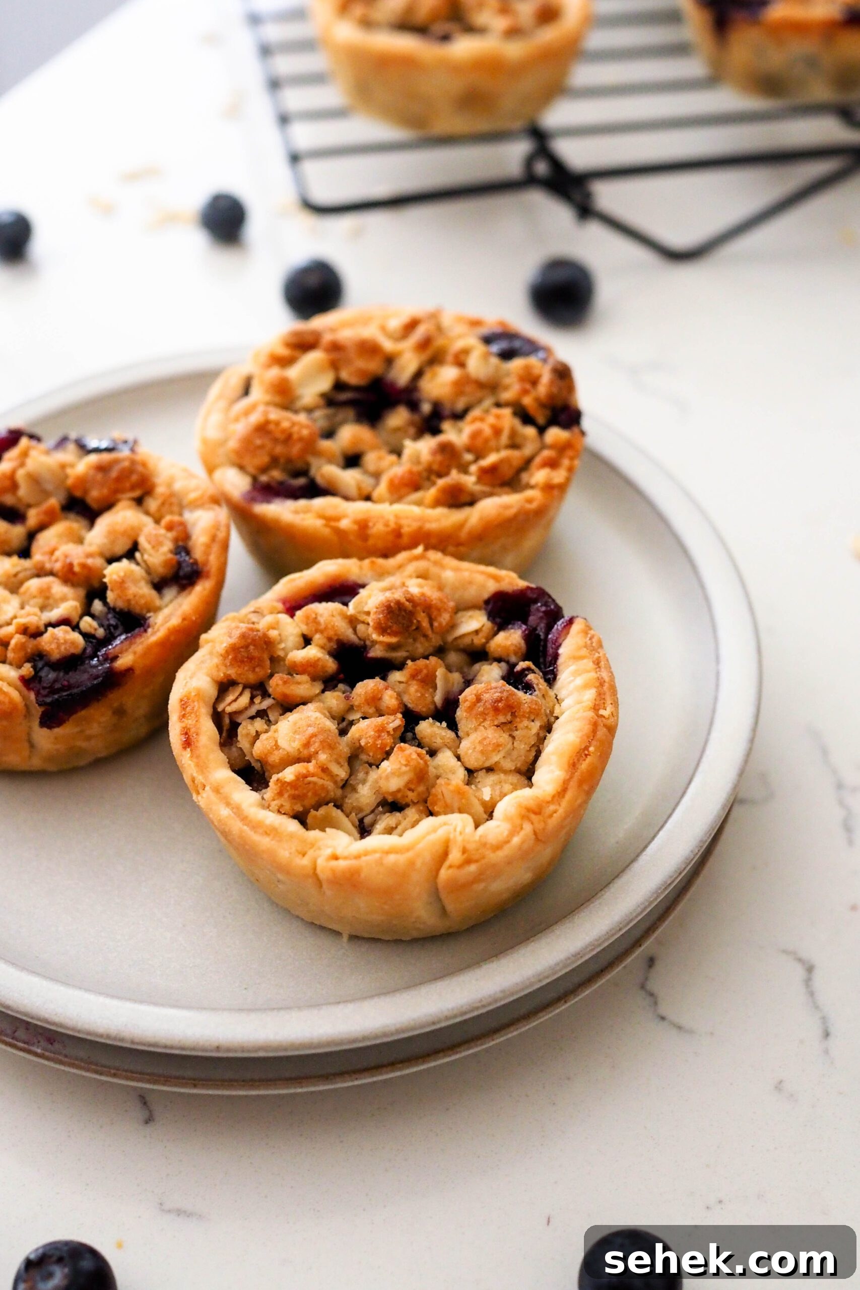 Mini Blueberry Hand Pies: Bite-Sized Fruit Desserts for Any Occasion 13 Three mini blueberry pies on a small plate.