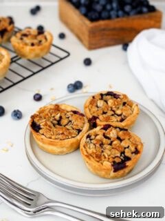 Mini Blueberry Hand Pies: Bite-Sized Fruit Desserts for Any Occasion 15 Three mini blueberry pies with a crumble topping on a gray appetizer plate.