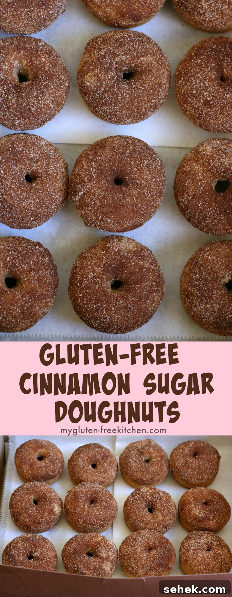 Gluten-Free Cinnamon Sugar Baked Donuts Recipe 8 Gluten-free Cinnamon Sugar Doughnuts Donuts recipe. #glutenfreerecipe