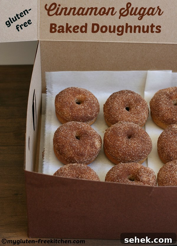 Gluten-Free Cinnamon Sugar Baked Donuts Recipe 3 Gluten-free Cinnamon Sugar Baked Doughnuts - Such a fun treat to make and share! These were great the 2nd day still too!