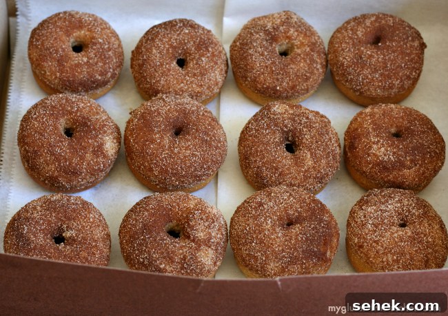 Gluten-Free Cinnamon Sugar Baked Donuts Recipe 4 Gluten-free Cinnamon Donuts
