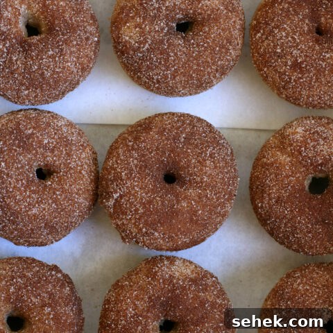 Gluten-free Cinnamon Sugar Doughnuts Recipe. These donuts are so good! No one can tell they're #glutenfree