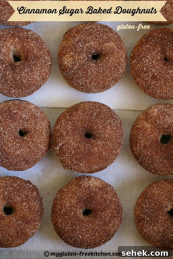 Gluten-Free Cinnamon Sugar Baked Donuts Recipe 7 Gluten-free Cinnamon Sugar Baked Doughnuts - These reminded me of doughnut holes, only better and healthier!
