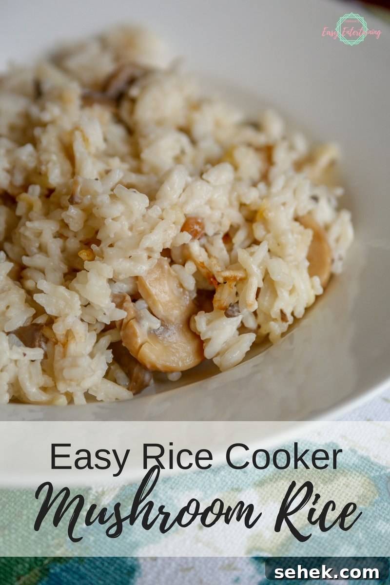 Mushroom Rice in the Rice Cooker: Simple Savory Recipe 2 Mushroom rice in a bowl