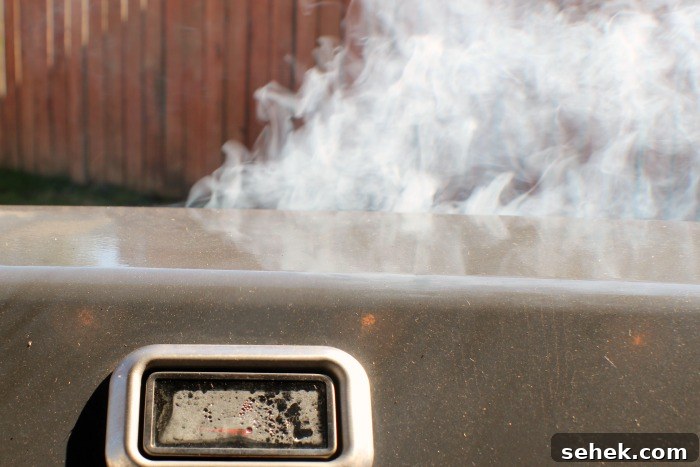 Cold-Smoked Cornish Game Hens: Perfect Chilled Prep Guide 5 Smoke Billowing out from Behind gas grill