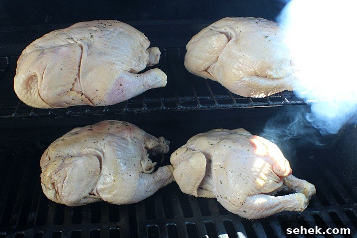 Cold-Smoked Cornish Game Hens: Perfect Chilled Prep Guide 6 Cornish Game Hens In Gas Grill With Smoke From Cold Smoke Generator