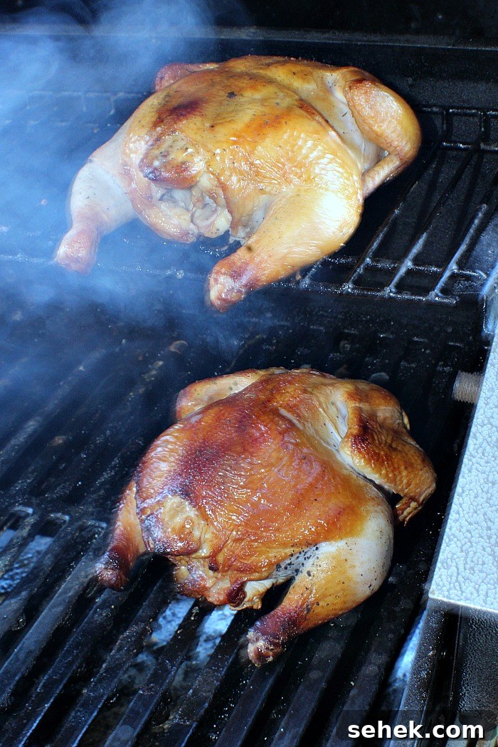 Cold-Smoked Cornish Game Hens: Perfect Chilled Prep Guide 7 Cornish Game Hens In Gas Grill Smoked By Cold Smoke Generator