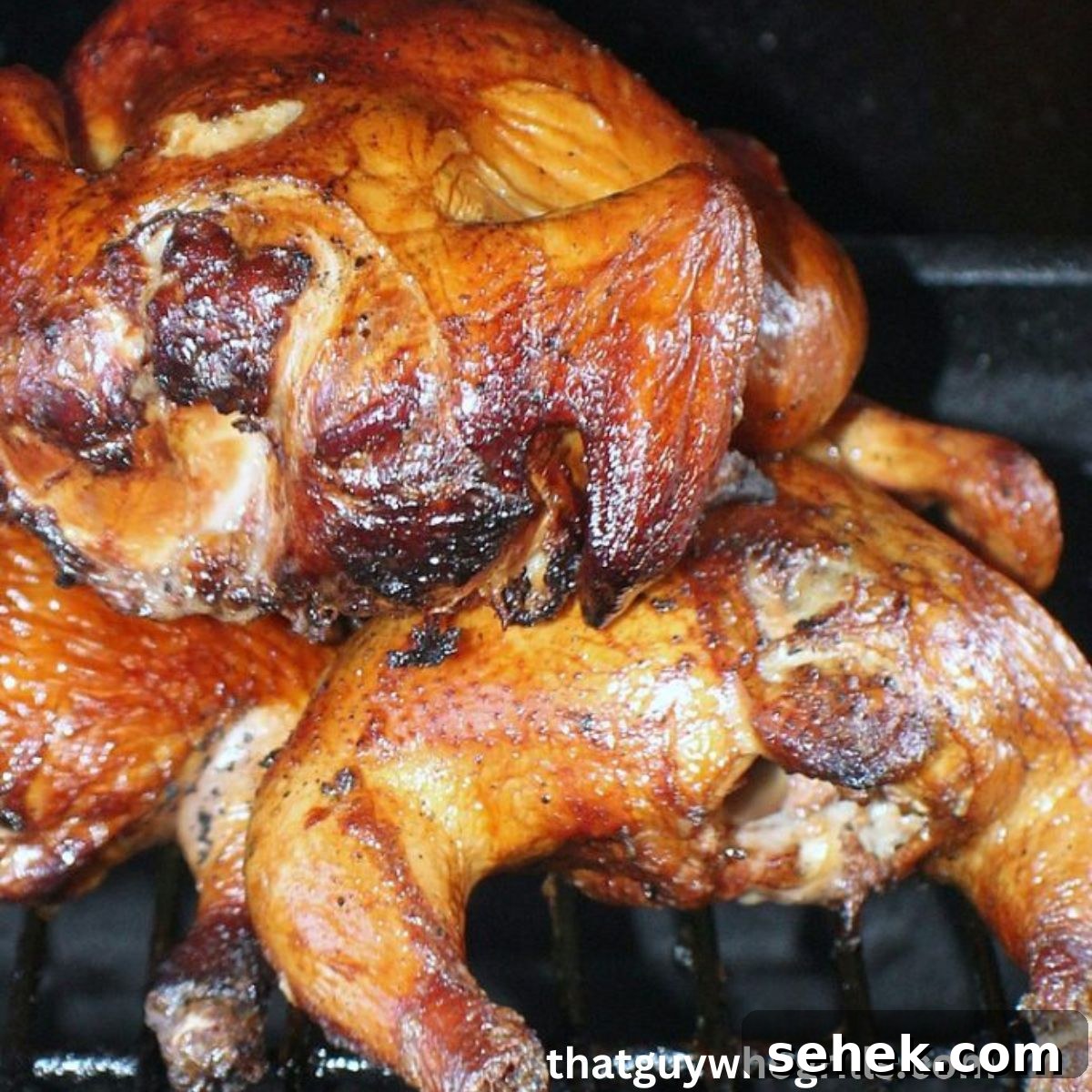 Cold-Smoked Cornish Game Hens: Perfect Chilled Prep Guide 8 img 269 15