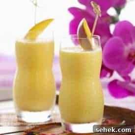 Low-Calorie Smoothie Recipes for Weight Watchers Points 10 Creamsicle Breakfast Smoothie